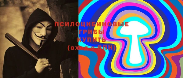 гашик Алексин