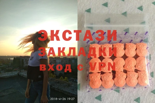 хмурый Арсеньев