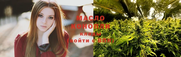 хмурый Арсеньев
