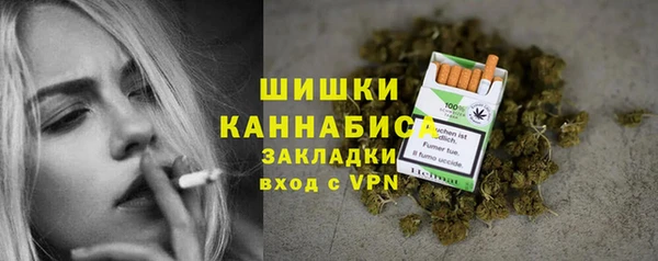хмурый Арсеньев