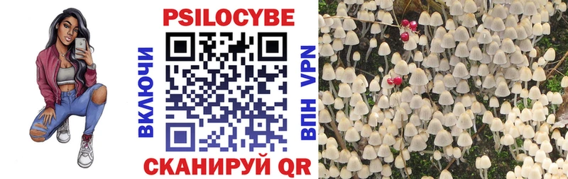 цены   Петровск  Псилоцибиновые грибы GOLDEN TEACHER 